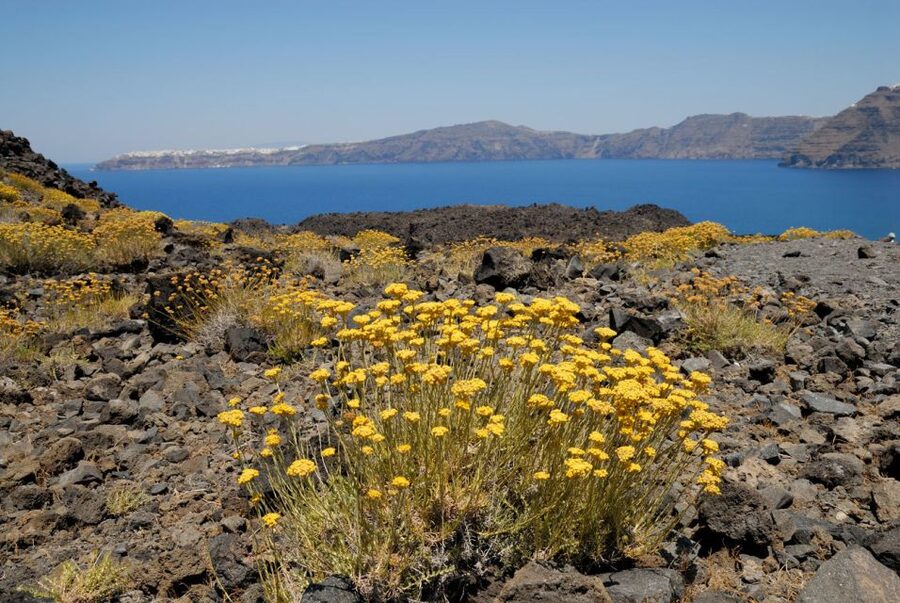 1-Day Boat Trip: Santorini Volcano, Thirassia & Oia Sunset - Price and Value: Is $67 Worth It?