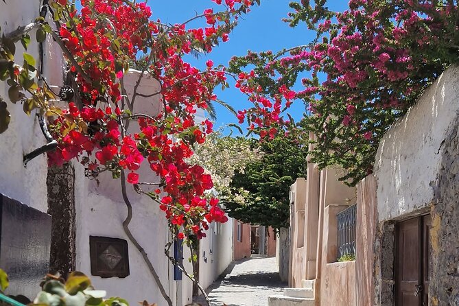 3 hours Panoramic Tour to Oia - Value and price: is $78.60 worth it