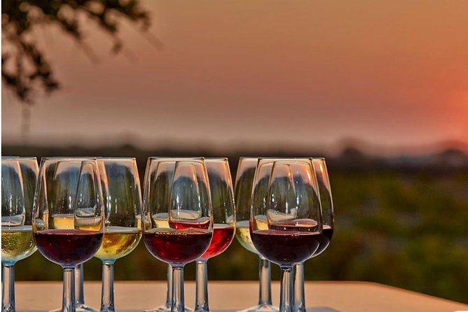4.5 Hours Through the Grapevine Private Wine Tour - Key Things I’d Plan Around
