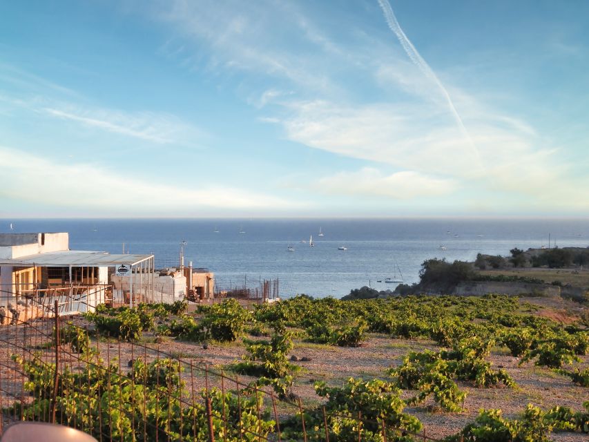 Akrotiri: Guided Horseback Riding Day Trip to a Beach - Key things to know before you book