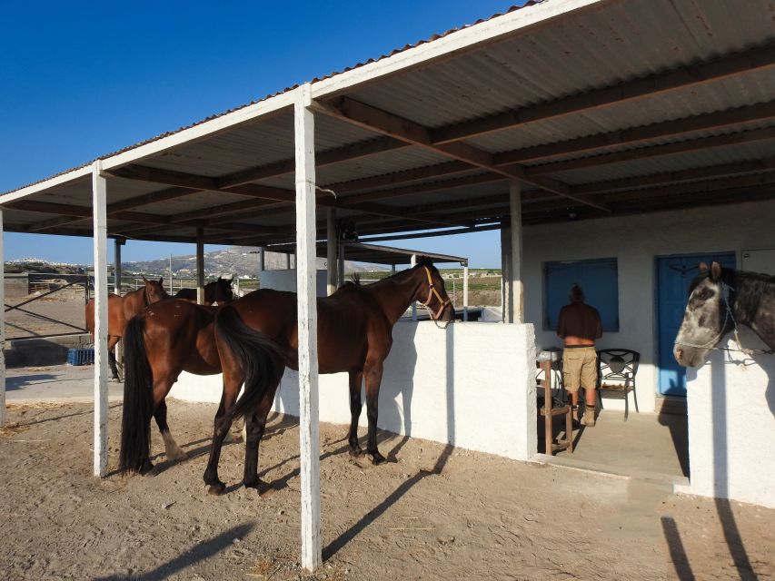 Akrotiri: Guided Horseback Riding Day Trip to a Beach - Vlychada views from horseback: why you’ll remember the ride