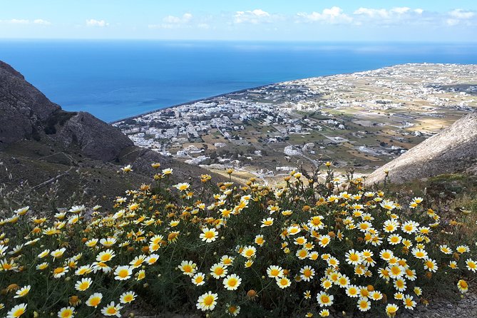 Amazing sightseeing in Santorini 2022 - Santorini in about 3 hours, designed for people who hate wasting daylight