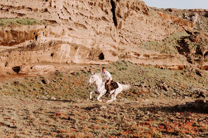 Beach Gallop - Horse Riding Safari for Experienced Riders - Price and Value: What $192.04 Buys You