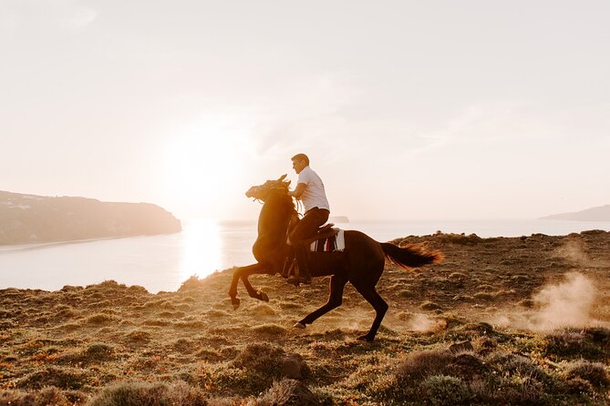 Beach Gallop - Horse Riding Safari for Experienced Riders - Who Should Book This (And Who Should Skip It)