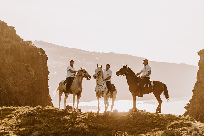 Beach Gallop - Horse Riding Safari for Experienced Riders - Canter and Gallop on the Beach, Not Just a Walk