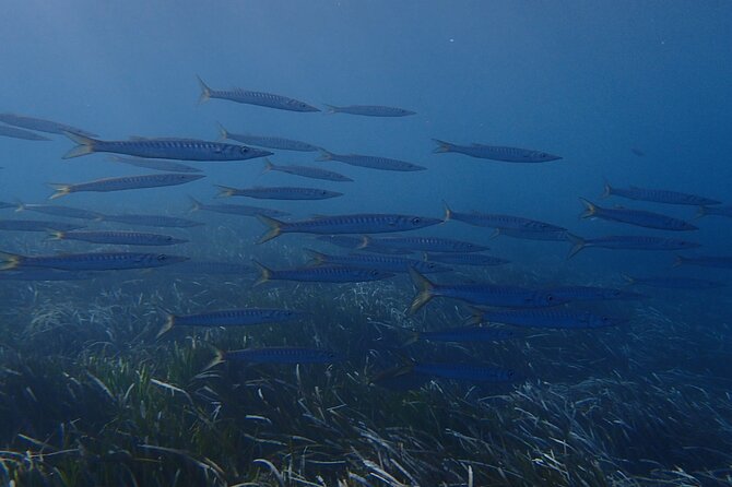 Discover Scuba Diving in Santorini - PADI Professionals, and Why the Instructor Style Changes Everything