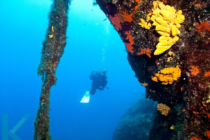 Discover Scuba Diving in the Caldera of the Volcano in Santorini - Key Points You’ll Care About Most