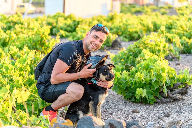 E-Bikes Rental in Santorini - Traditional Town Breaks: Food, Wine, and Photo-Friendly Pauses
