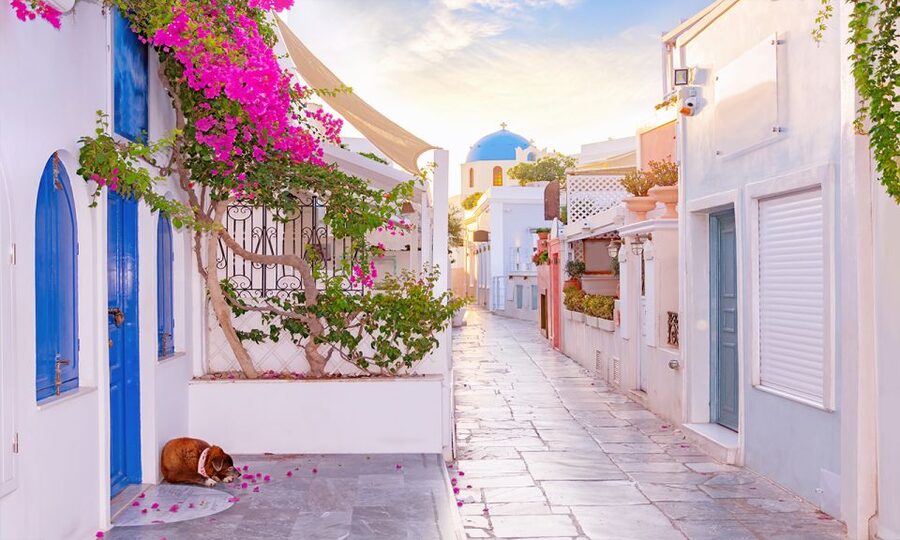 From Heraklion: Guided Day Trip To Santorini Island - Fira: the island capital with more room to roam