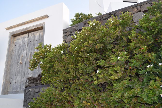 Hidden villages: Private tour 5-Hour - Megalochori: traditional village time with guided history