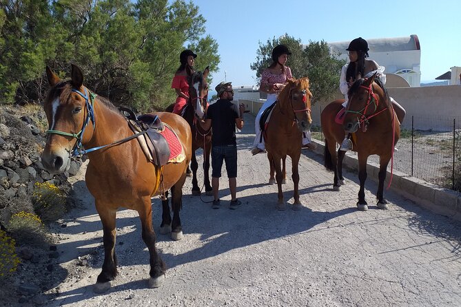 Horse Riding: Explore Secret Thera - Stop 1: Megalochori time before you head out