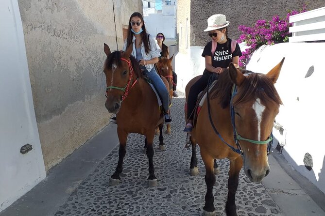 Horse Riding: Explore Secret Thera - Horses, mules, and the comfort level conversation