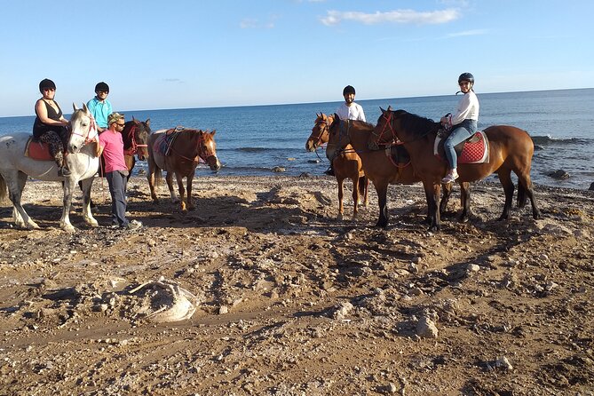 Horse Riding: Explore Secret Thera - Guides you might get, and why guide style affects the whole day