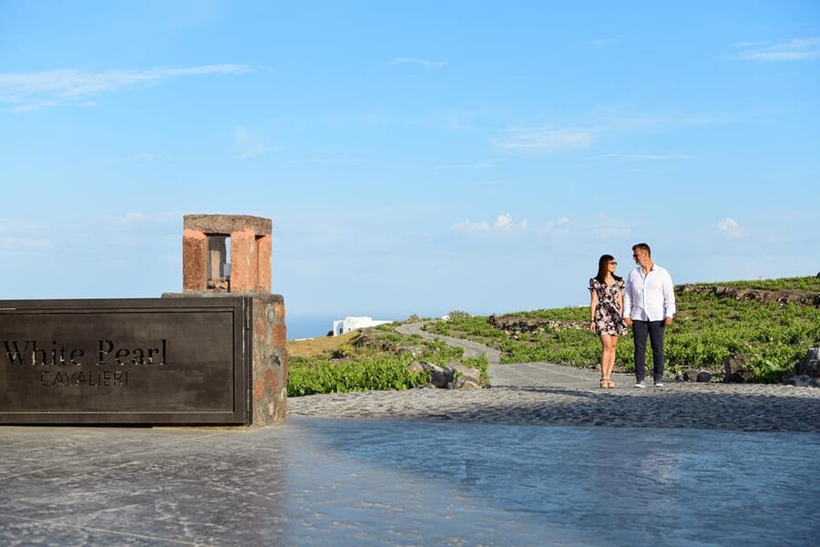 Imerovigli: Premium Wine Tasting with Caldera and Sea Views - Seven Santorini wines from different producers, how the tasting is paced