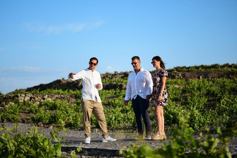 Imerovigli: Premium Wine Tasting with Caldera and Sea Views - Private cellar visit and buying bottles without the pressure