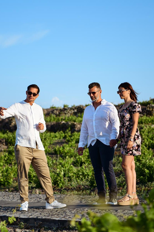 Imerovigli: Premium Wine Tasting with Caldera and Sea Views - Who this Imerovigli wine tasting suits best (and who should pass)