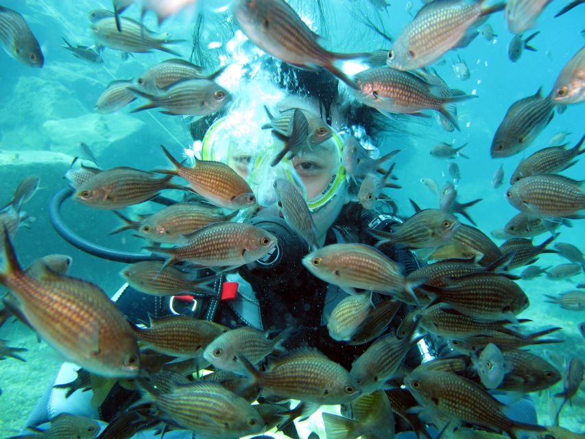 Oia: 2 Guided Scuba Dives off Santorini for Certified Divers - Gear, Food, and What You Actually Need to Bring