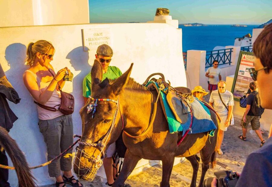 Oia Sunset Daily Tour - The English Audio Guide: What You Learn Before the Sunset Moment