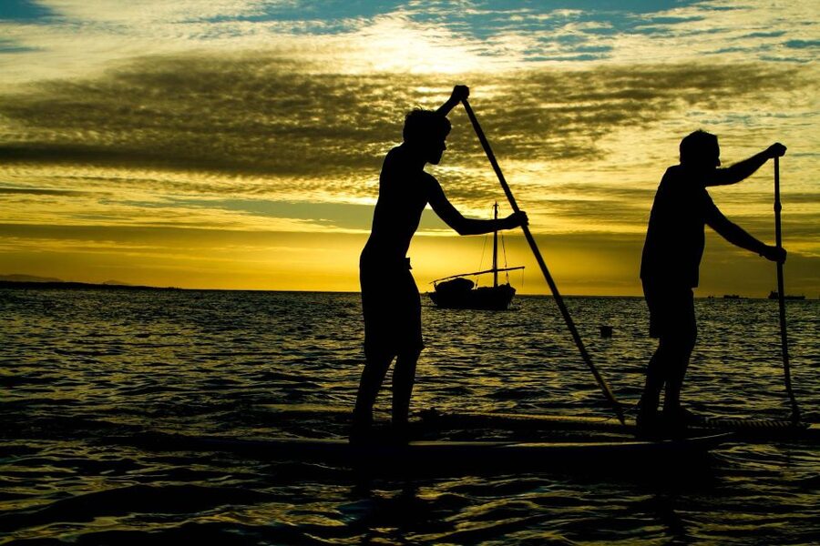Paddle Board Rental: Glide on the Water with Ease - Key takeaways before you hit the sea