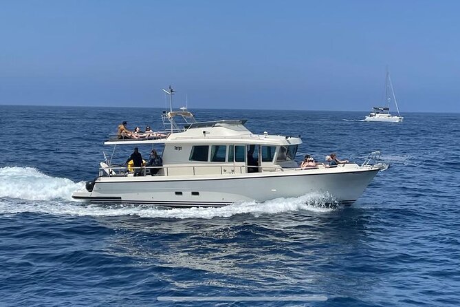 Private Full-Day Motor Yacht Cruise with Meal, Open Bar+Transfers - Transfers, Food, and Open Bar: What You Gain (and What You Still Need)