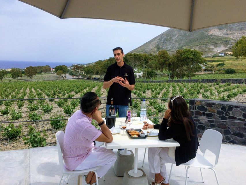 Private Group Visit to Akrotiri & 3 Wineries with Tastings - Price and Value: What You’re Really Paying For at $294 per Person