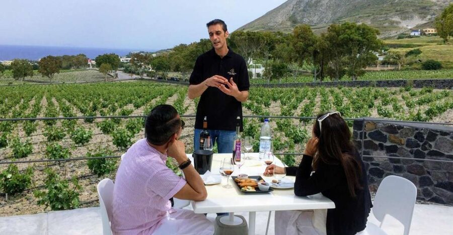 Private Group Visit to Akrotiri & 3 Wineries with Tastings - Visiting 3 Wineries: You’ll See Santorini Viticulture in Different Styles