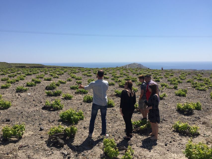 Private Group Visit to Akrotiri & 3 Wineries with Tastings - The 12 Mini-Glasses: How to Pace the Tastings Like a Pro