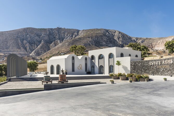 Private Half Day Tour with Wine Tasting in Santorini - Who This Tour Suits Best for Families, Couples, and Wine Lovers