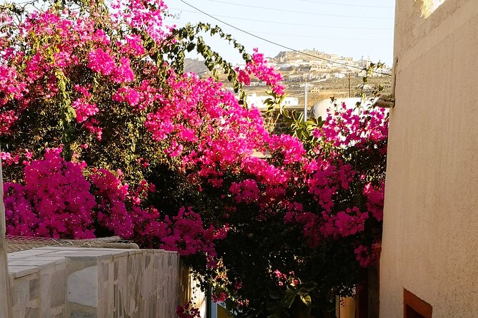 Private Santorini Highlights Tour with Easy and Flat Walks - How Markos Makes the Day Feel Like a Friend With a Car