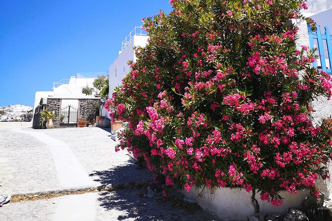Private Santorini Highlights Tour with Easy and Flat Walks - Oia Start: White-Washed Streets, Photo Stops, and Time for Coffee