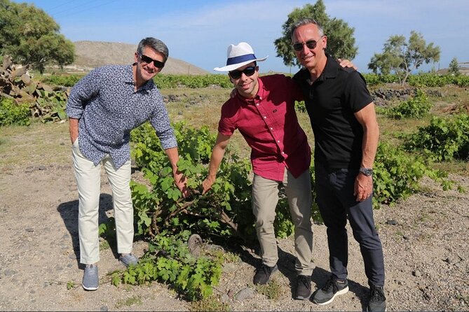 Private Santorini Sunset Wine Tour with Tastings and Tapas - Stop 2 Gaia Winery: Comparing Styles With a Structured Tasting