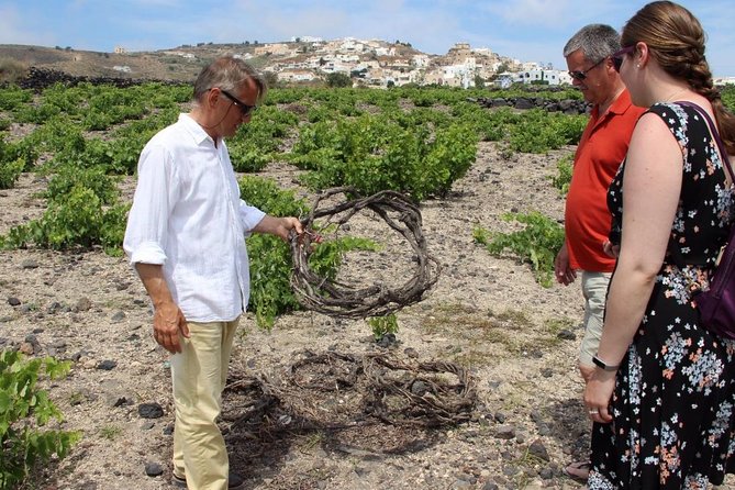 Private Tour: Great Wines and Famous Towns of Santorini - Anhydrous Winery plus lunch: tasting four wines with a meal pairing