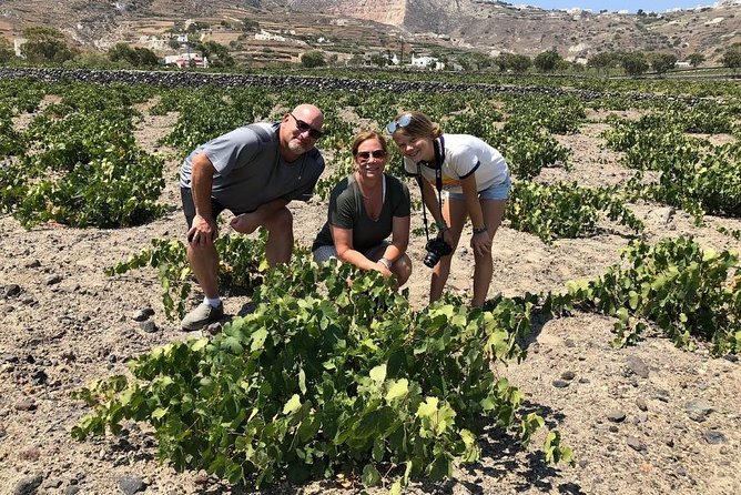 Private Tour: Great Wines and Famous Towns of Santorini - What the wine guides do that makes this worth the money
