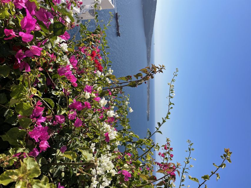 Private Tour of the Famous Blue Domes and Caldera - Why This 3-Hour Private Circuit Feels Worth It