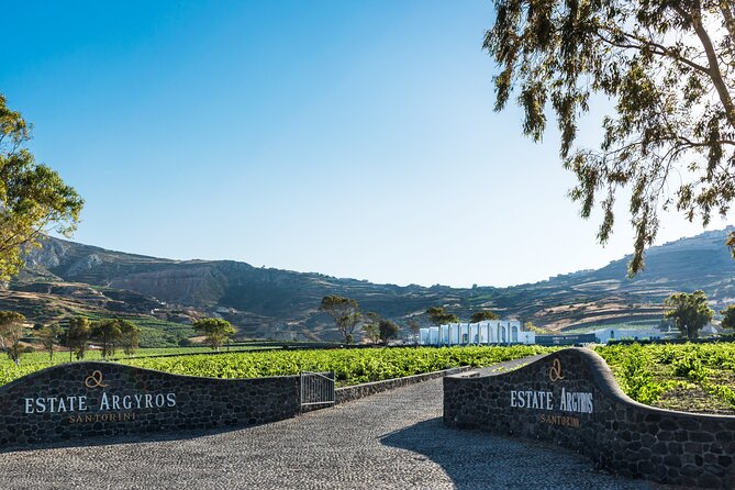 Private Wine Adventure Tour in the Most Distinct Wineries - Santo Wines on the caldera rim: views first, then four tastings