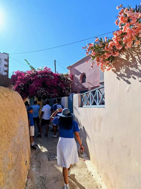 Santorini: 6-Hour Private Sightseeing Tour - Akrotíri archaeology or Santo Wines, your choice in the same tour window