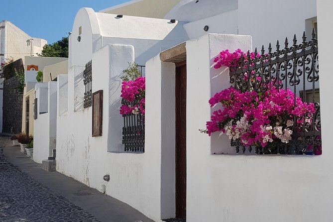 Santorini: 6hr Small Group Shore Excursion Villages & Wine - Anhydrous Winery Tasting: Wine Plus Food Pairing in About an Hour