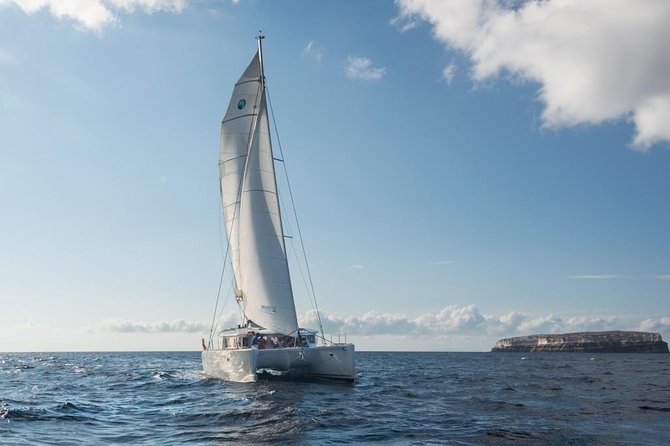 Santorini Caldera Sailing Tour with BBQ Lunch and Drinks - BBQ Seafood Lunch, Greek Wine, Beer, and Soft Drinks