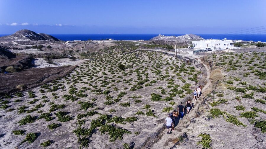 Santorini: Cooking Class and Easy Hike - Why the $182 Price Feels Fair for a 4-Hour Local Experience