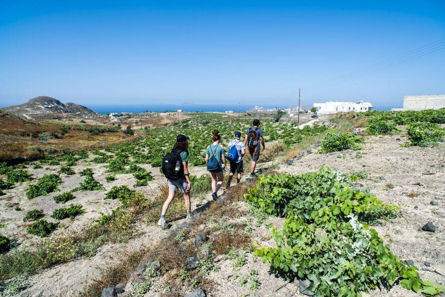 Santorini: Cooking Class and Easy Hike - Who This Tour Suits (and Who Should Rethink It)