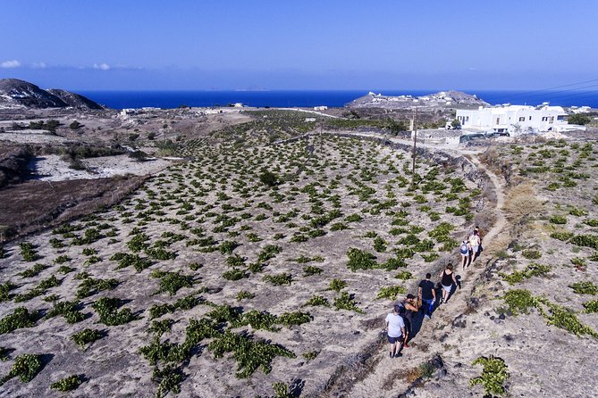 Santorini : Cooking Class & Easy Hike - Chef Ana’s cooking lesson: hands-on Greek dishes, not a lecture