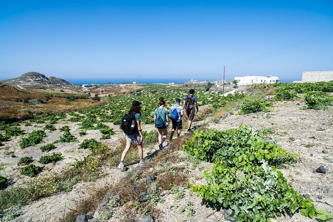 Santorini : Cooking Class & Easy Hike - Who this tour suits best (and who might want to think twice)