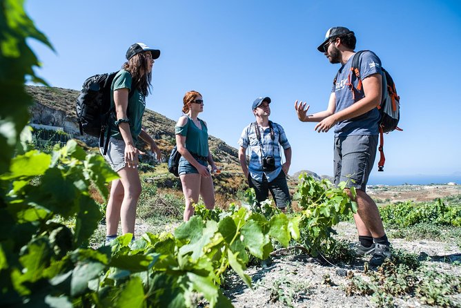 Santorini : Cooking Class & Easy Hike - Getting there: hotel pickup, an English-speaking guide, and a 9:00 am start