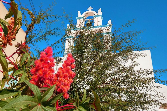 Santorini Day Tour with Sunset in Oia - Winery Stop: What the 45 Minutes Gives You