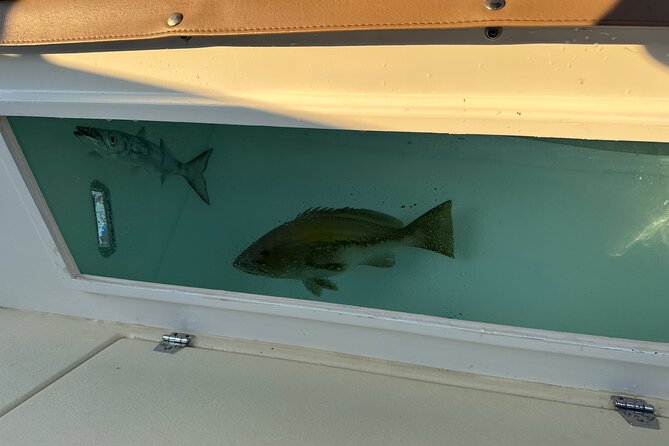 Santorini Fishing Private Cruise boat tour - BBQ, Snorkeling - Snorkeling and swimming in quiet Santorini coves