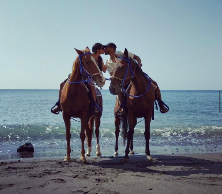 Santorini Fun day: Horseriding- Wine Tasting - Tapas - Key highlights I’d circle on your Santorini checklist