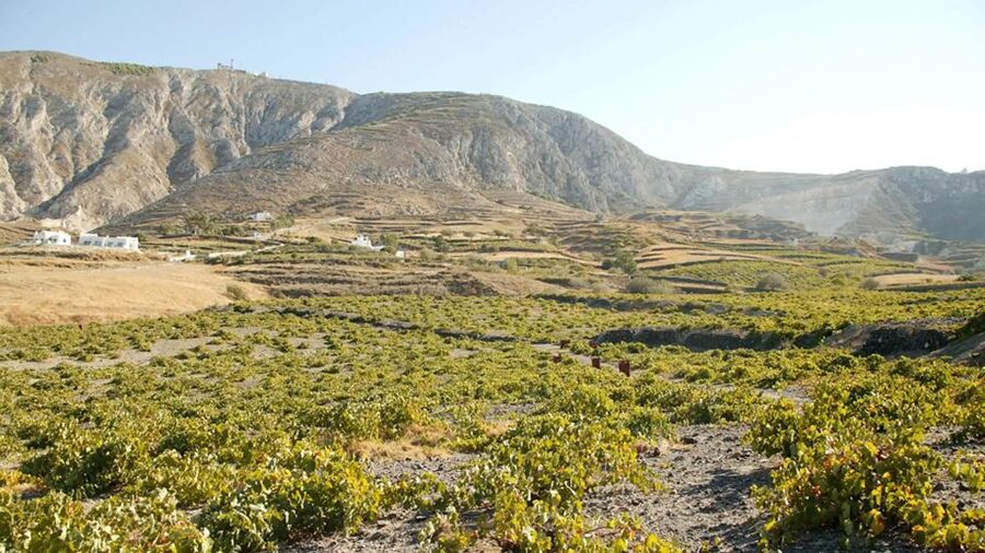 Santorini: Guided Highlights Tour with Private Wine Tasting - Should You Book This Private Santorini Highlights Tour?