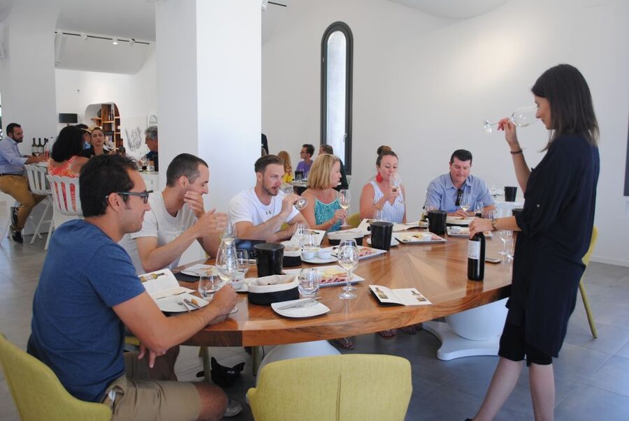 Santorini: Guided Wine Tour with Pickup and Snacks - Estate Argyros: a major vineyard start and a clear first tasting