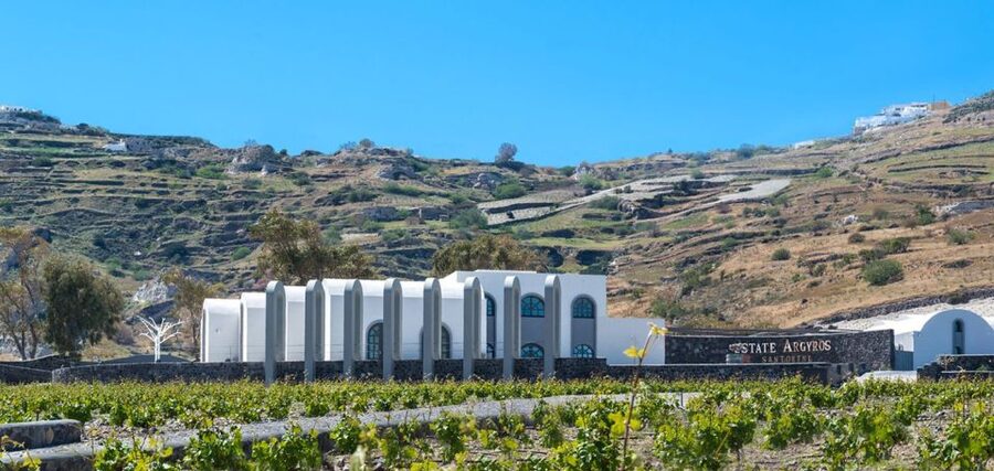 Santorini: Guided Wine Tour with Pickup and Snacks - The optional 5-course meal paired to tastings