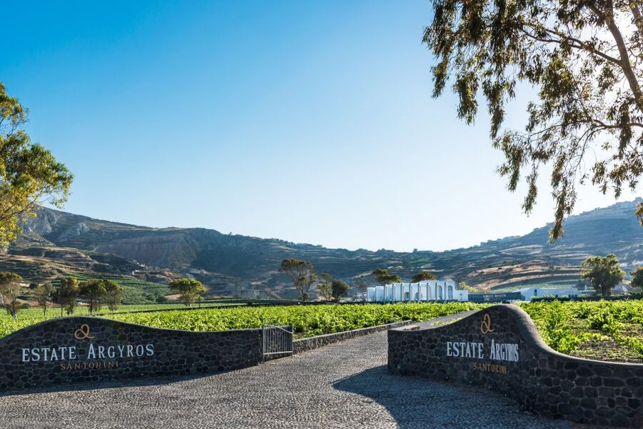 Santorini: Guided Wineries Private Tour with Wine Tastings - Stop 3: Estate Argyros for Assyrtiko, modern production, and Greek cheese pairings